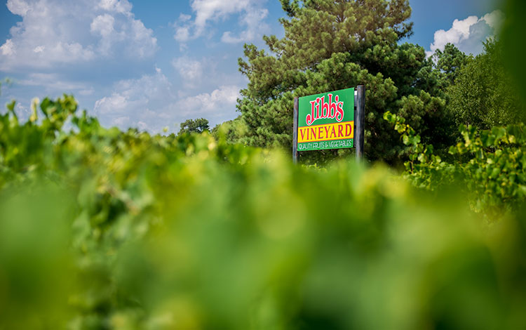 Letrero de Jibb's Vineyard que dice frutas y verduras de calidad.